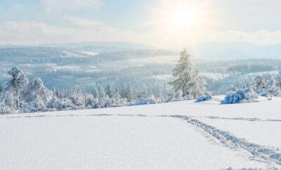 Der Feldberg im Schwarzwald